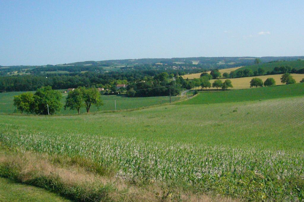Les Gites De La Treille Montagrier Kültér fotó